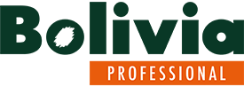 Logo_Bolivia-Professional_2020